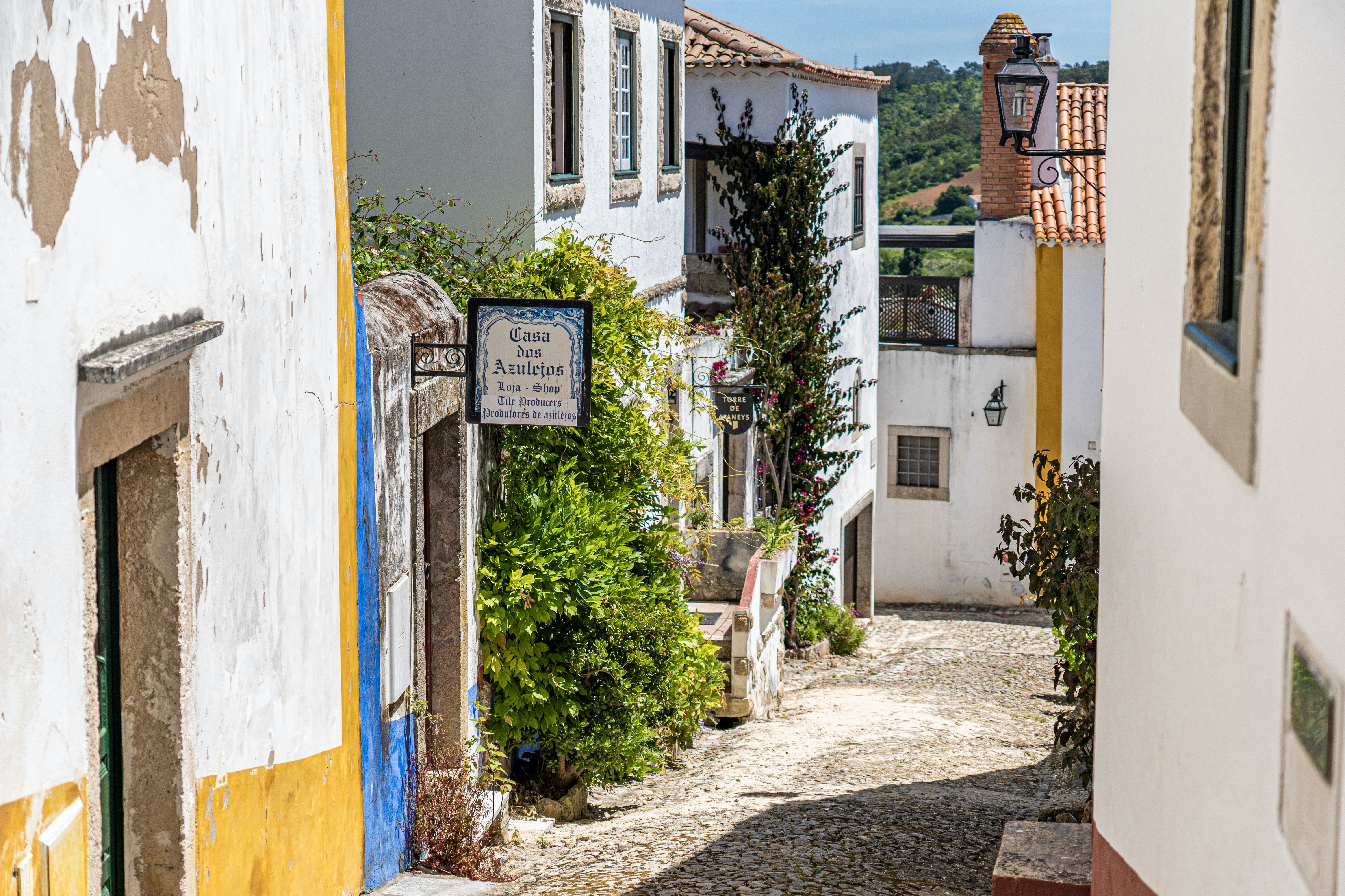 moving to portugal