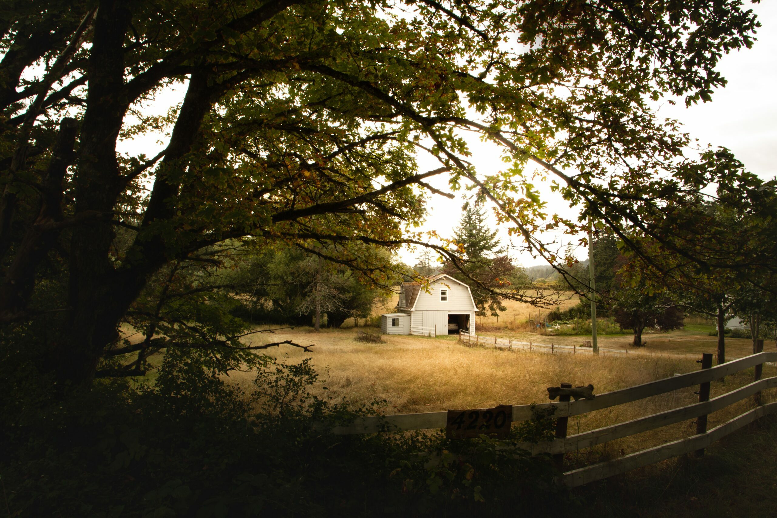cheap rural property in portugal